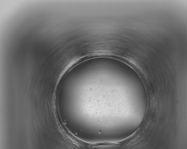 X0000059811325200510281655