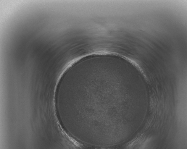 X0000059811327200510281655