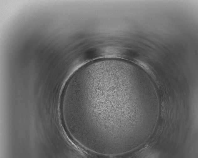 X0000059811331200510281655