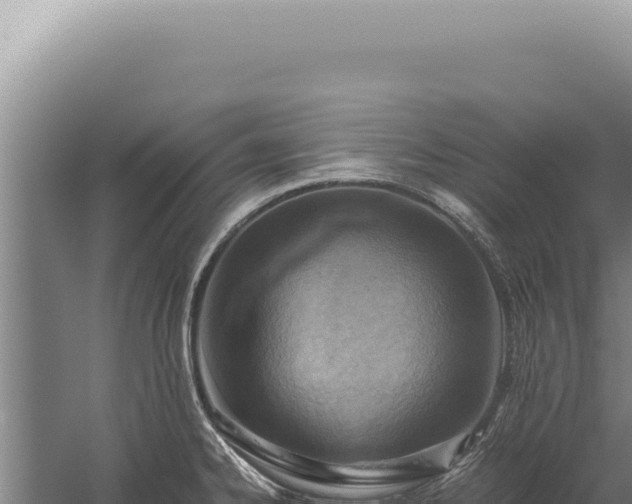 X0000059811334200510281655