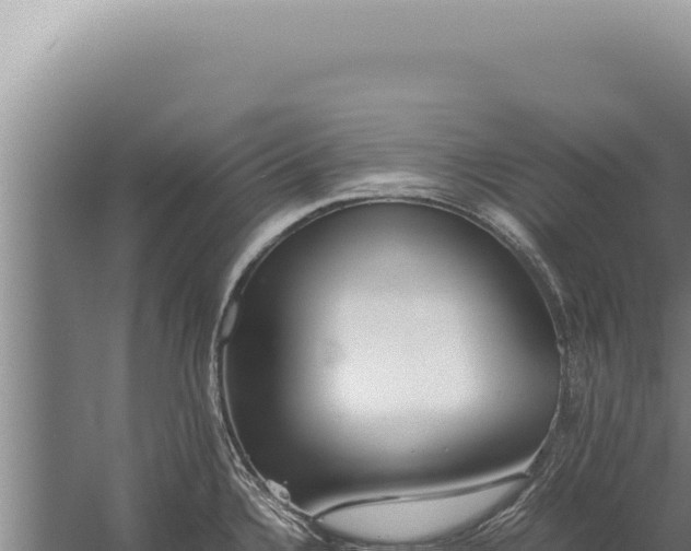 X0000059811336200510281655