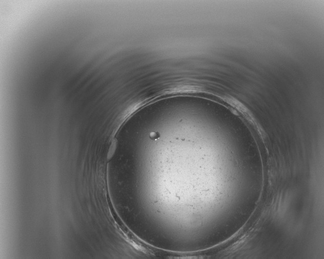 X0000059811337200510281655