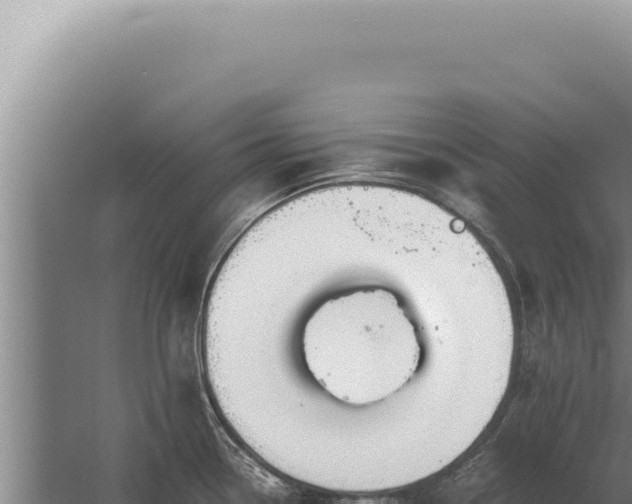 X0000059811338200510281655