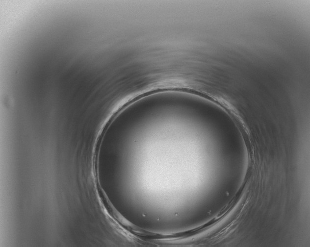 X0000059811342200510281655