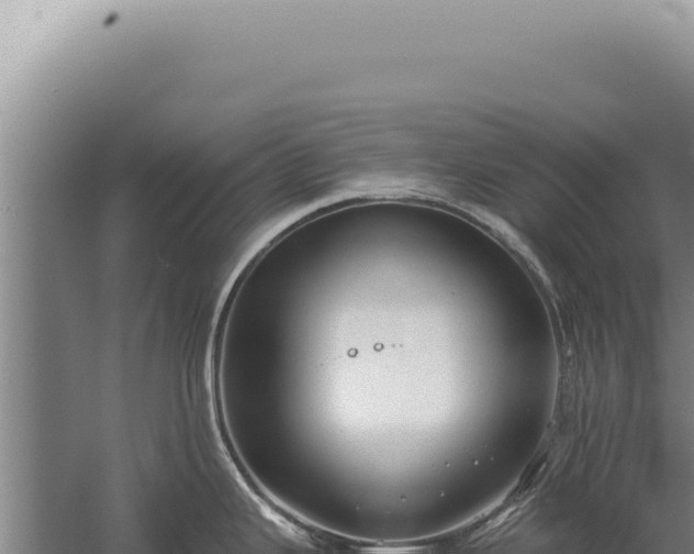 X0000059811343200510281655