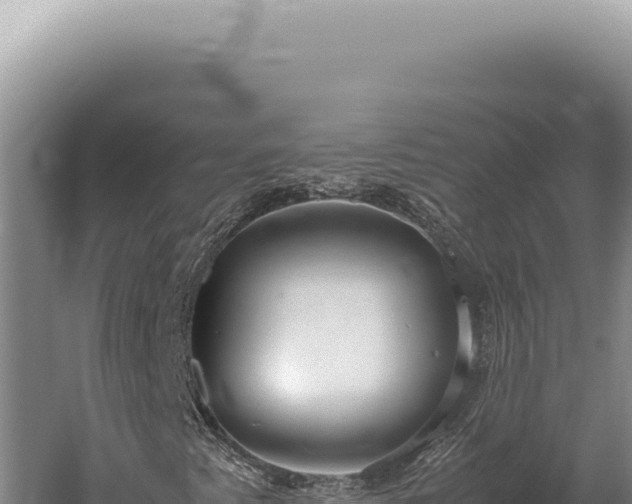 X0000059811345200510281654