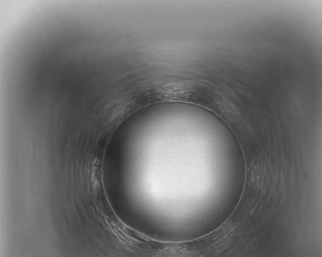 X0000059811346200510281654