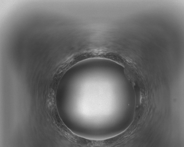 X0000059811349200510281654