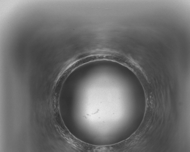 X0000059811352200510281654