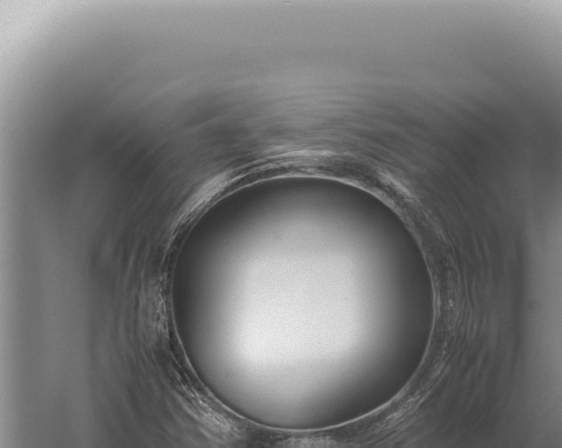 X0000059811354200510281654