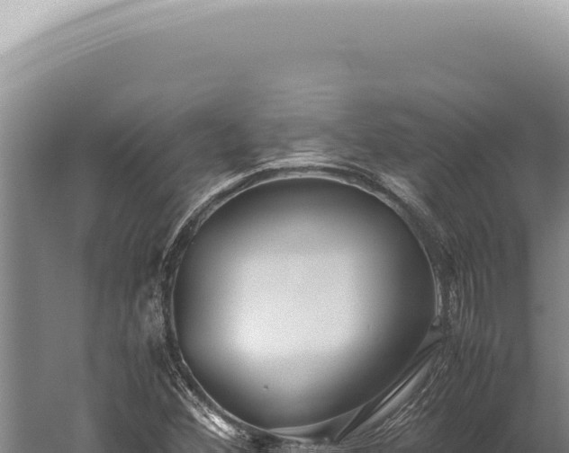 X0000059811356200510281654