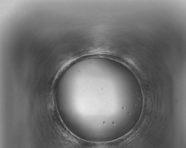 X0000059811358200510281654