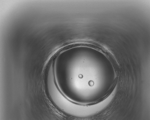 X0000059811360200510281654