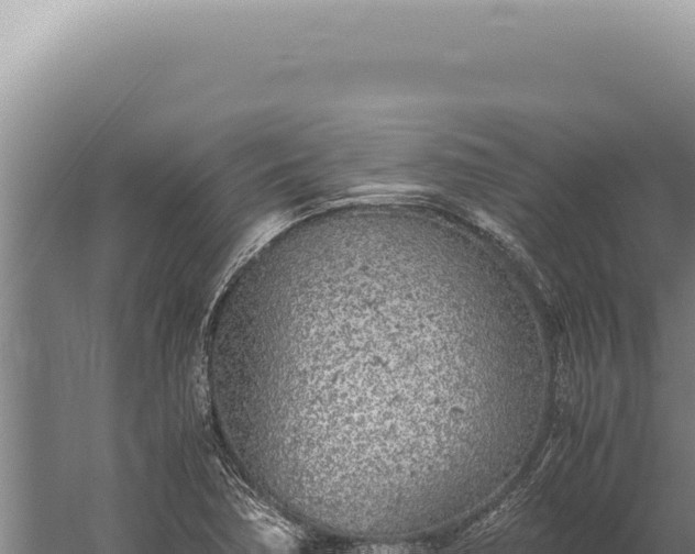 X0000059811362200510281654