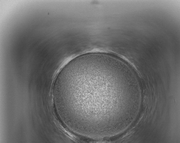 X0000059811367200510281654