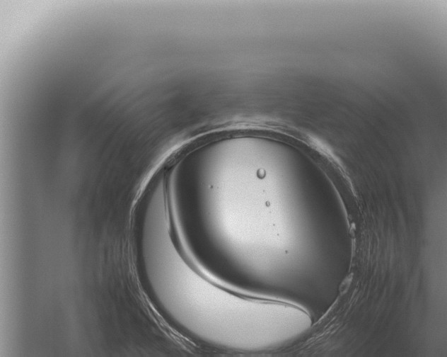 X0000059811368200510281654