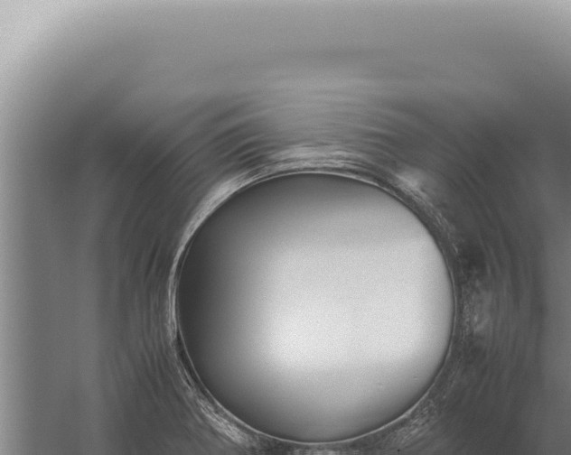 X0000059811370200510281654