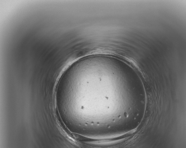 X0000059811371200510281654