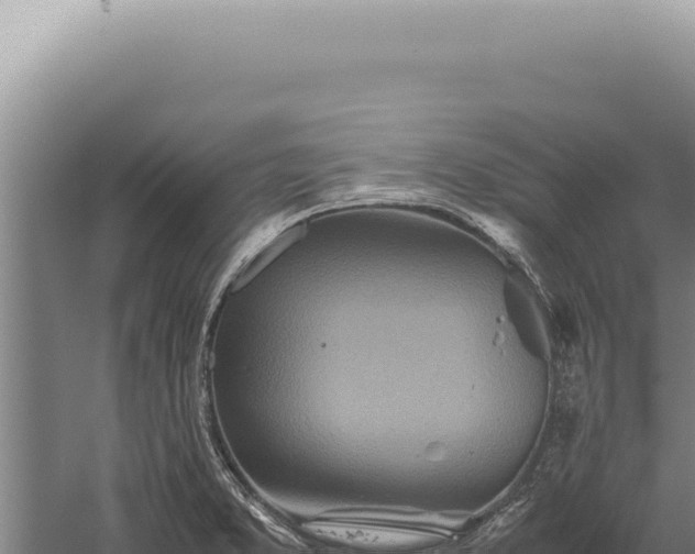 X0000059811373200510281654