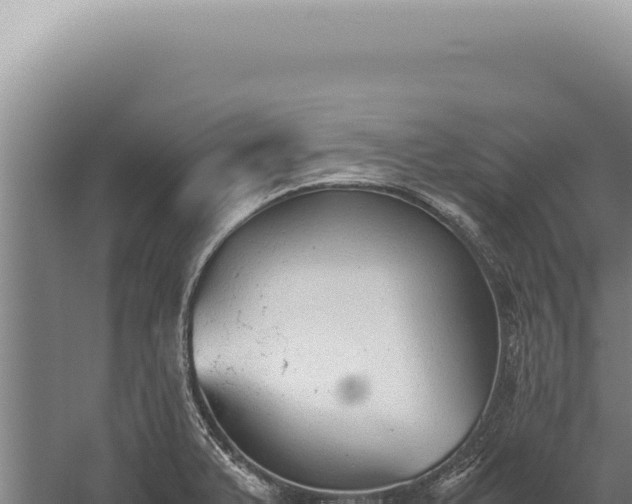 X0000059811375200510281654