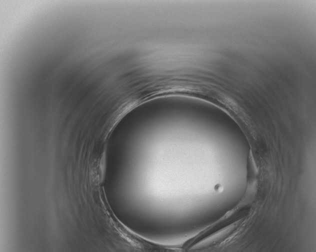 X0000059811377200510281654