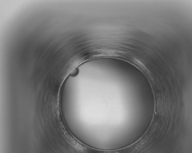 X0000059811378200510281654