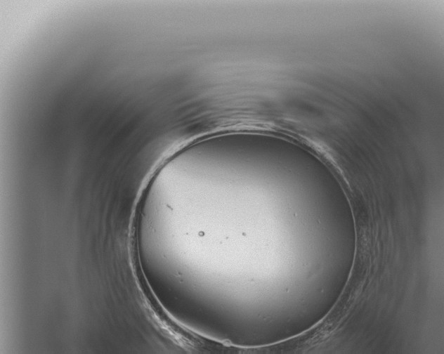 X0000059811379200510281654