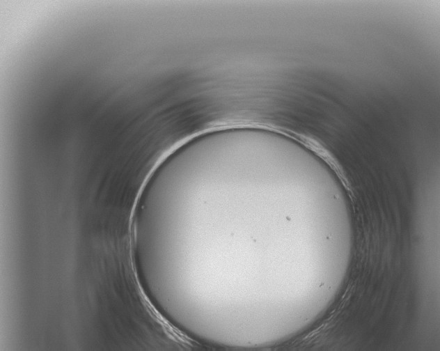 X0000059811380200510281654