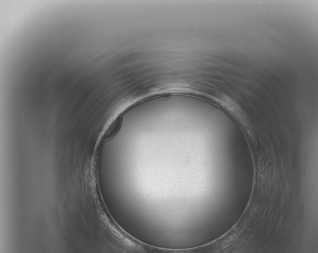 X0000059811382200510281654