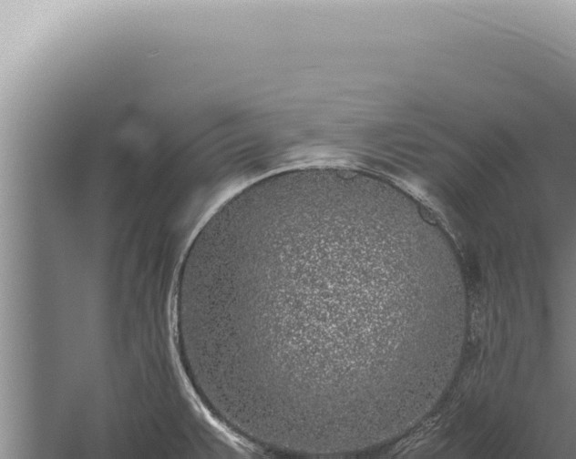 X0000059811383200510281654