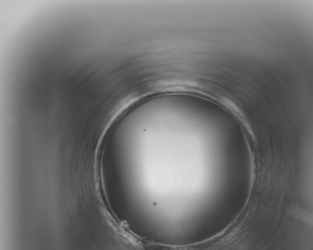 X0000059811384200510281654