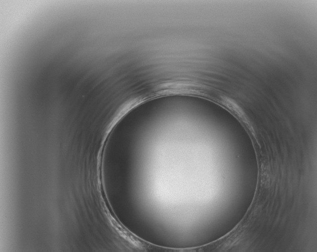 X0000059811386200510281654