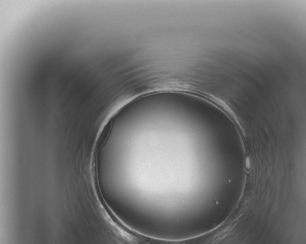 X0000059811387200510281654