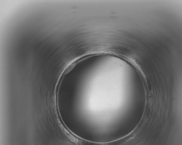 X0000059811388200510281654