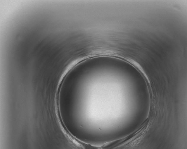 X0000059811389200510281654