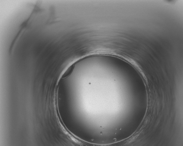 X0000059811390200510281653