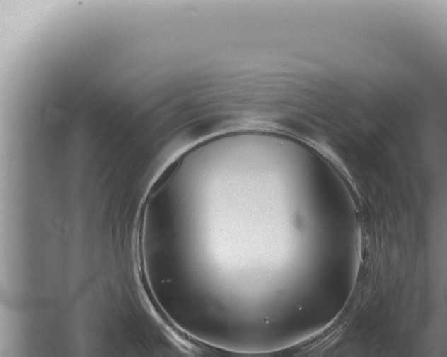 X0000059811391200510281653