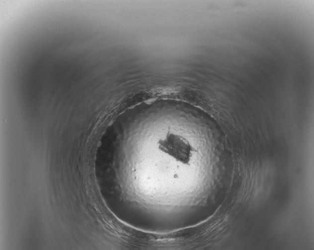 X0000059811393200510281653