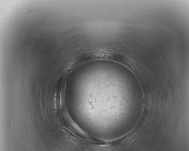 X0000059811394200510281653