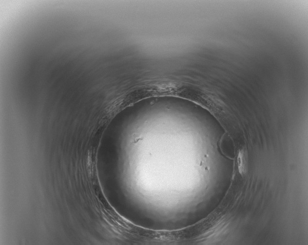 X0000059811395200510281653