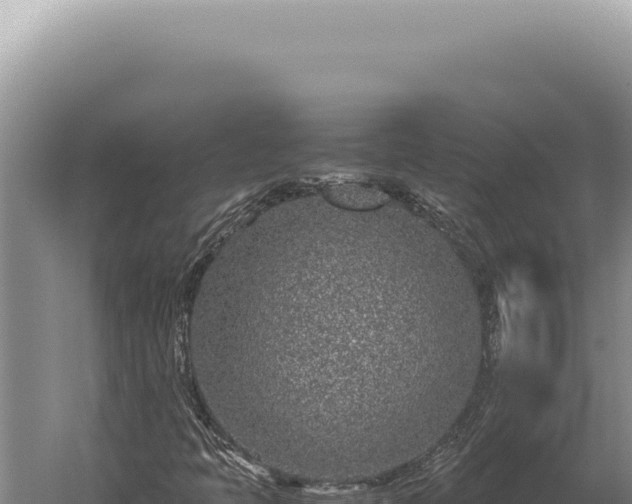 X0000059811397200510281653