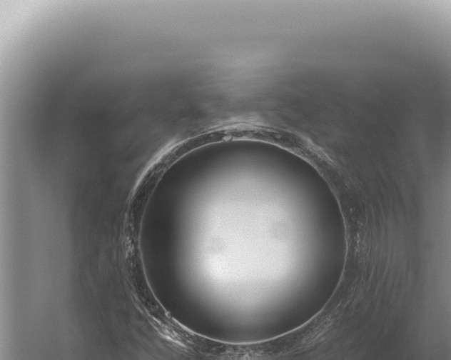 X0000059811400200510281653