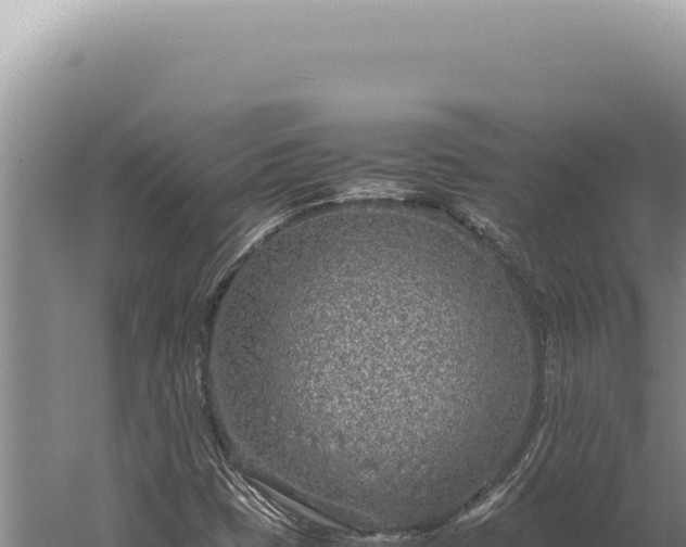 X0000059811401200510281653