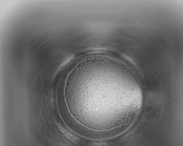 X0000059811403200510281653