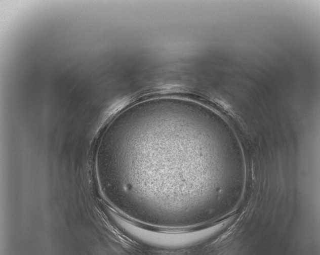 X0000059811405200510281653