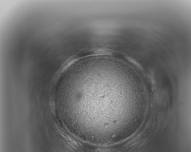 X0000059811407200510281653