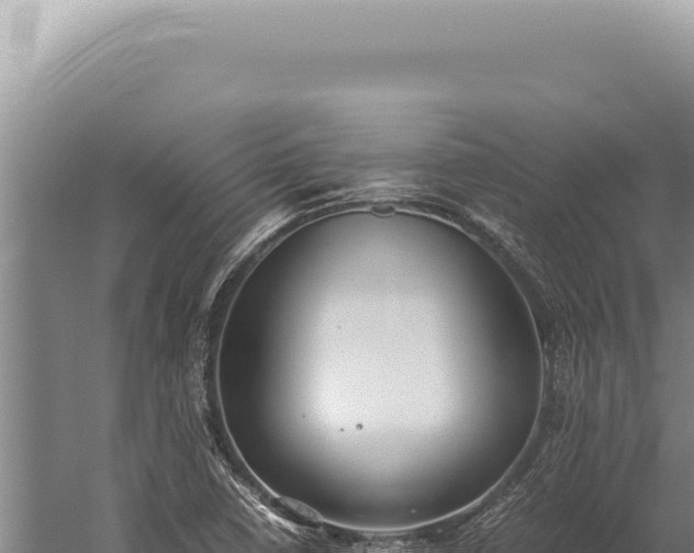 X0000059811410200510281653