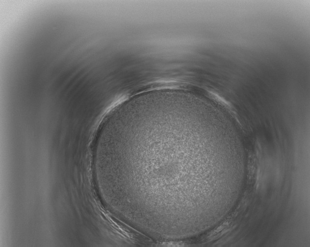 X0000059811411200510281653