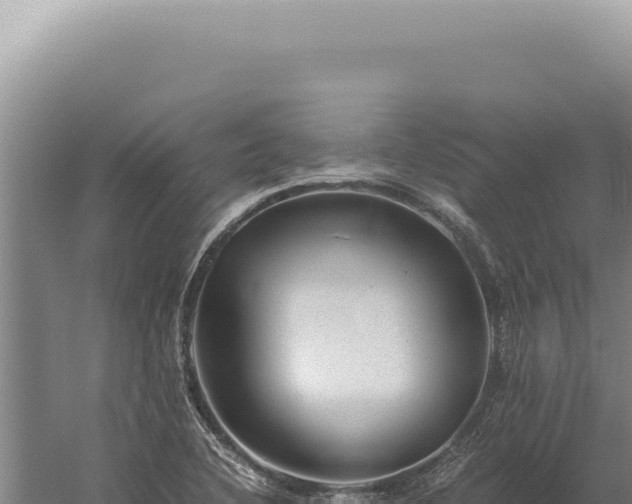 X0000059811412200510281653