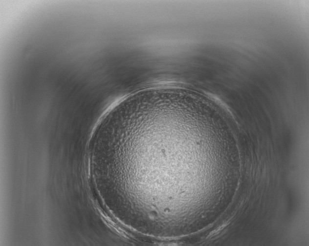 X0000059811413200510281653